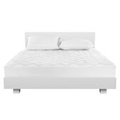 Chaps Triple Protection Mattress Pad, Queen